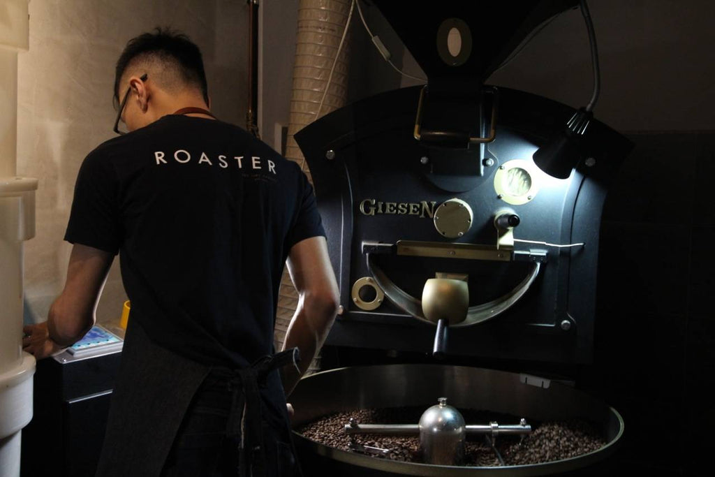 The Coffee Professional - The Roaster