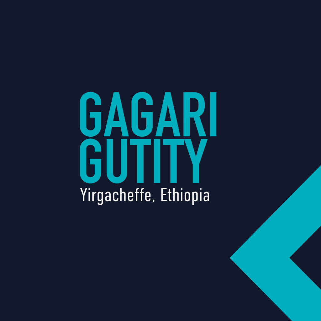 Ethiopia Gargari Gutity Washed