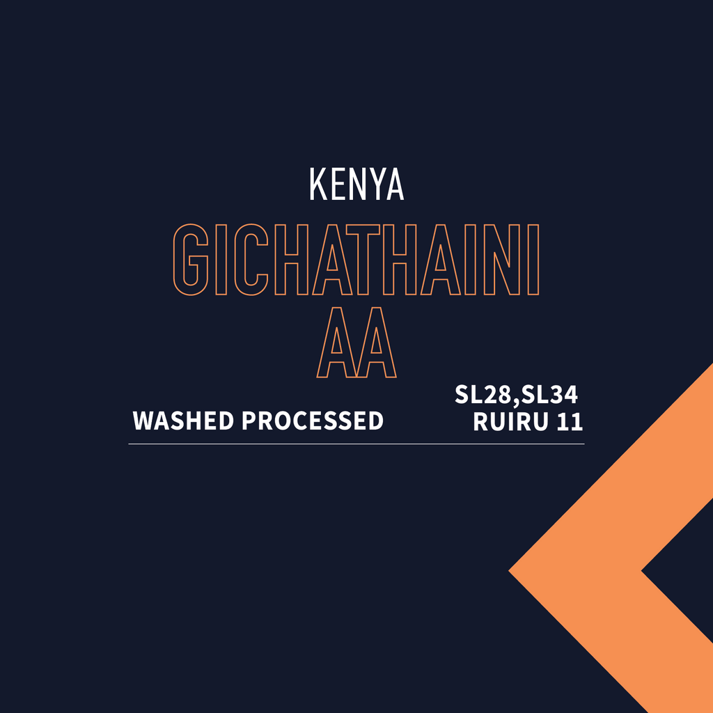 Kenya Gichathaini AA