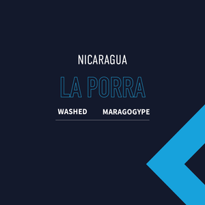 Nicaragua La Porra (Washed)